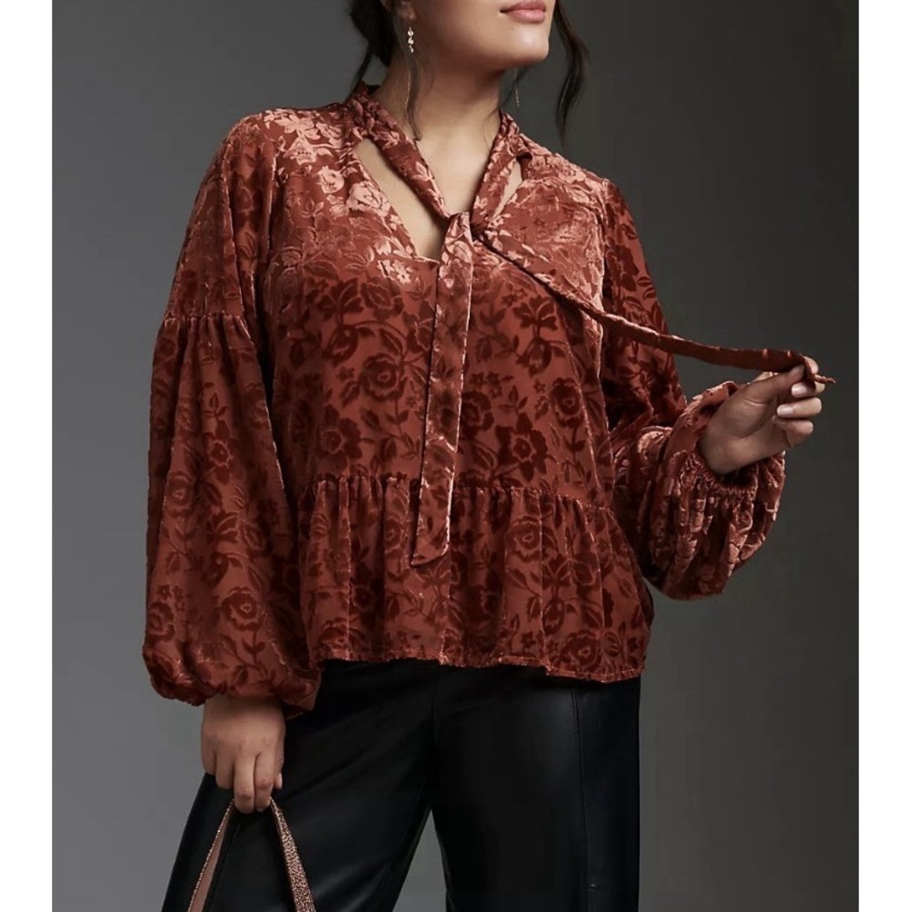 Anthropologie Floral Burnout Velvet Babydoll Blouse Women's L Rust Romantic Boho